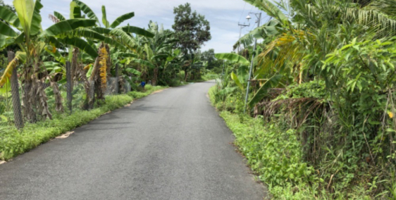 Chính Chủ Bán 3 Nền Mặt Tiền Nguyễn Viết Xuân