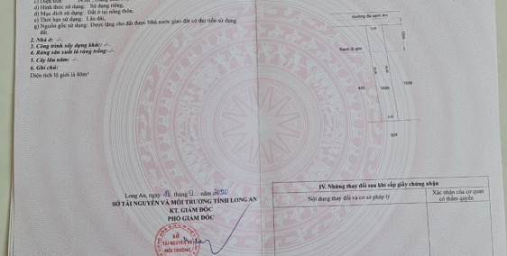 Hàng hiếm đường đá xanh ngay trung tâm thị trấn