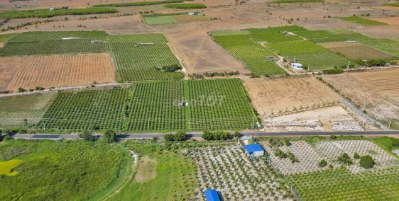 bán lô 9884m2 đất gần ngay đất Nova cách biển 5phút, view đẹp sổ hồng riêng