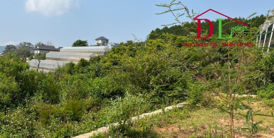 Đất Măng Lin chưa bao giờ hết HOT! 223m2 thổ cư chỉ 5 tỷ! Liên hệ ngay