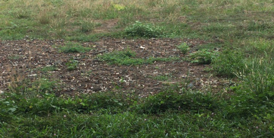 TÔI CHÍNH CHỦ CẦN BÁN 5 LÔ ĐẤT NGÀY SÁT MẶT TIỀN ĐƯỜNG NHỰA DT756 THÔNG RA QL14