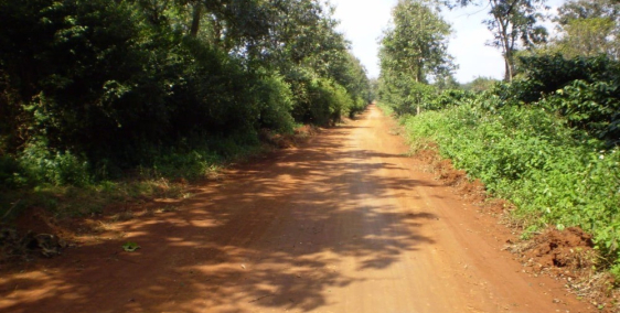 bán đất nền châu thành tây ninh full thổ cư