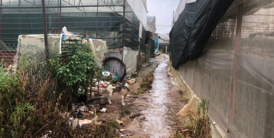 Cần bán đất Vạn Thành phường 5 thành phố Đà Lạt