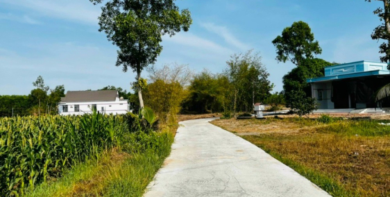 Chủ cần bán gấp lô đất 5X50 thổ cư ngay sát ủy ban Phước Long Thọ Đất Đỏ