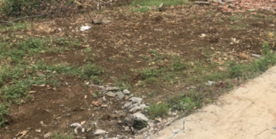 Bán đất Tân Chiều giá rẻ thổ cư sổ hồng riêng