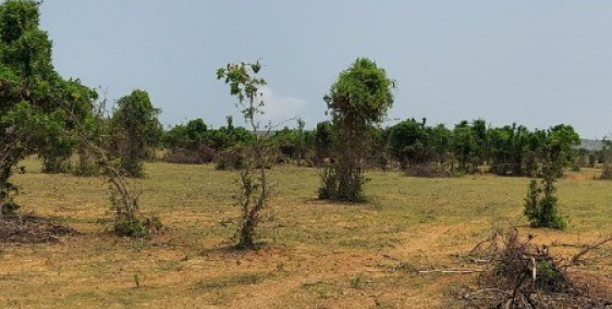 Bán đất vườn huyện bắc bình sổ sẵn từ 100k/m2 Lh 0938677909 Hiền xem sổ