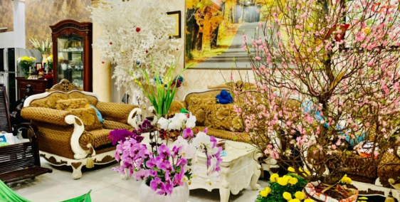 Bán gấp BIỆT THỰ ĐI MỸ, HXH 8m Hoàng Hoa Thám, 200m2, 6x34, chỉ 20 tỷ