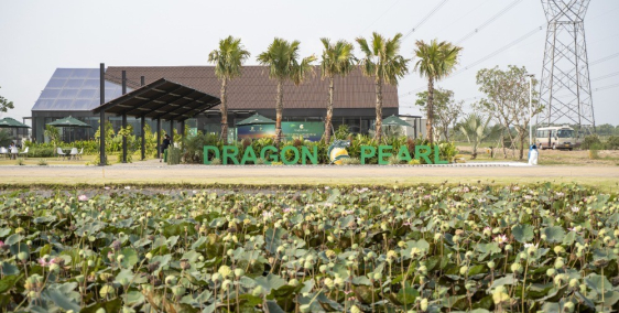 Bán đất dự án Dragon Pearl thanh toán 35% chỉ từ 500 triệu nhận nền