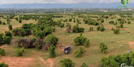 Bán 11,717m2 đất vườn hoà thắng cách đường sỏi 800m, chỉ 145k/m2 Lh 0938677909