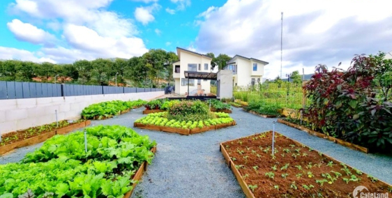 Bán lô đất biệt thự vườn ven sông giáp TP HCM