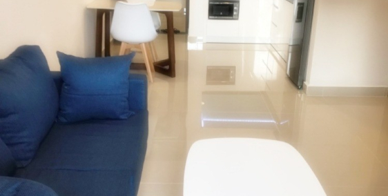 Cho thuê 2PN 1WC 49m2 Newton Residence  view Đông, Novaland - Giá 14 triệu/ th