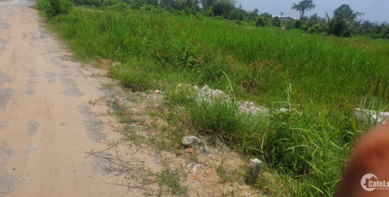 Chính chủ có sẵn 2 lô đất liền kề full thổ