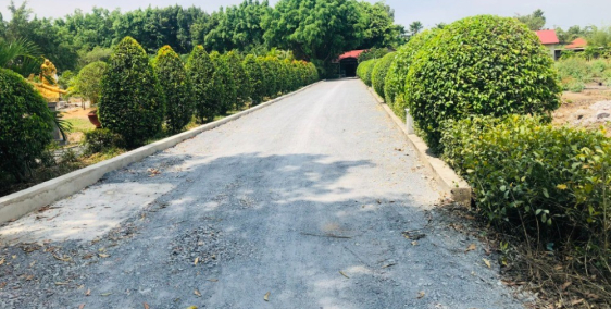 Còn duy nhất lô đất cây lâu năm y hình chụp khu nhà vườn đồng bộ