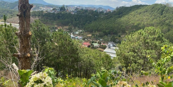 BÁN GẤP LÔ ĐẤT SIÊU VIEW RỪNG THÔNG KQH VIỆN NGHIÊN CỨU, PHƯỜNG 11, ĐÀ LẠT. CHỈ