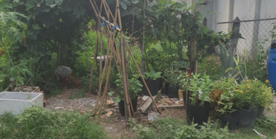 BÁN LÔ ĐẤT THỔ CƯ,CỦ CHI 8X16M,GIÁ 1,98 TỶ.LH:0988189768