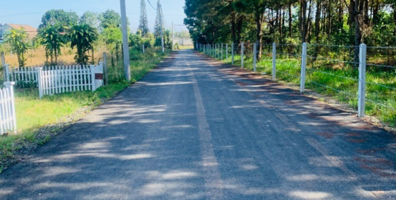 Bán Đất Bảo Lộc - Có SHR Nằm Ngay Trung Tâm Thành Phố, View Đồi Thông