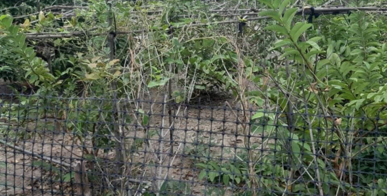 [143,9m2] [CÓ 60m2 THỔ CƯ] XÃ DIÊN TÂN, HUYỆN DIÊN KHÁNH, TỈNH KHÁNH HÒA