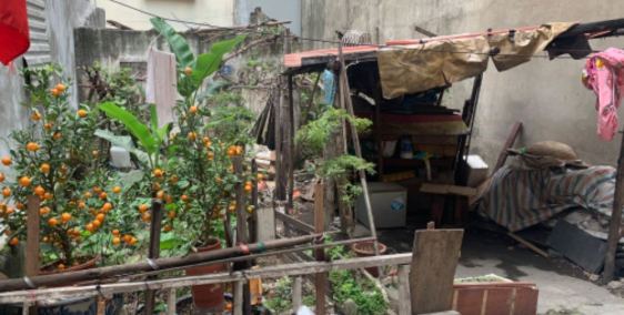 bán đất chính chủ ngõ 318 Bùi Xương Trạch