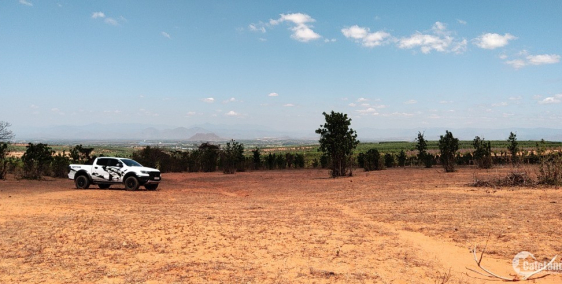 Bán 2ha đất sào hoà thắng gần đường nhựa ĐT 716 sổ sẵn chỉ 100k/m2 Lh 0938677909