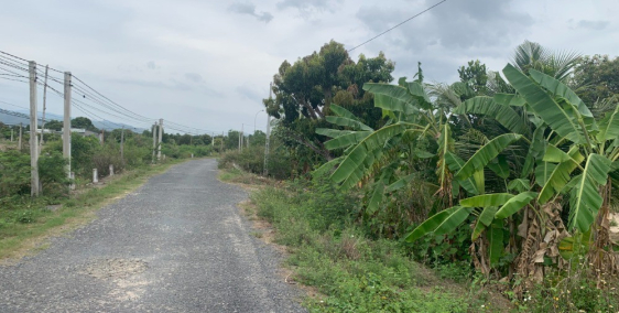 Chính chủ lô đất diện tích lớn 444 m2 có 60m2 Thổ Cư thuộc Cam Thành Nam