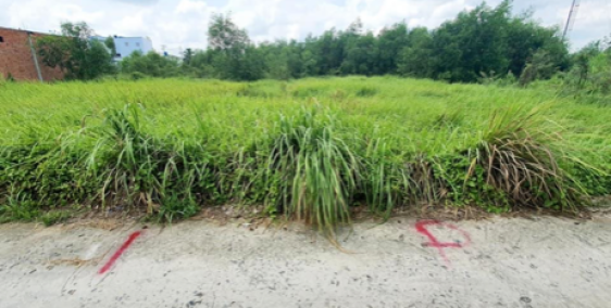 Cần ra hàng nhanh lô đất cho khách