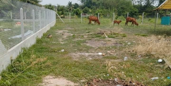 CẦN BÁN GẤP LÔ ĐẤT 5x27 TẠI XÃ PHAN-DƯƠNG MINH CHÂU-TÂY NINH