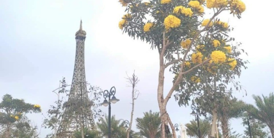 Bán đất tại TP Thanh Hóa mặt tiền đại lộ