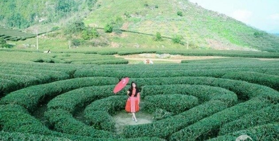 Đất nền Mộc Châu mảnh đất vuông vắn phù hợp kinh doanh