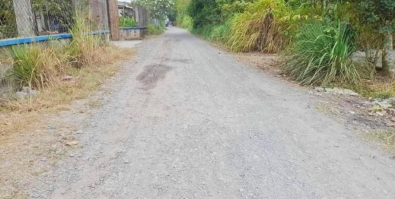 Đất đường đá xanh cách đường nhựa lớn 200m