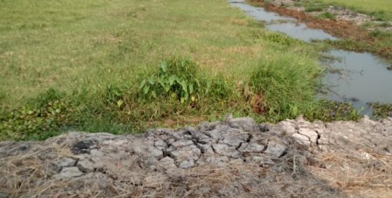 Đất vườn MT rạch DT 3064m2 gần chợ Trung An Giá 5.9 Tỷ