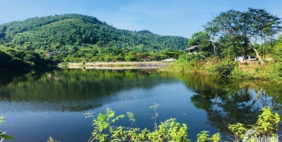 bạn nghĩ sao về việc bỏ phố về vườn?