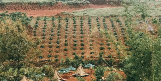 HOTNEWS!! Mở bán đất dự án có tiềm năng sinh lời cực cao.