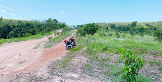 Đất vườn 2 mặt tiền tại Phú Ngọc Định Quán Đồng Nai