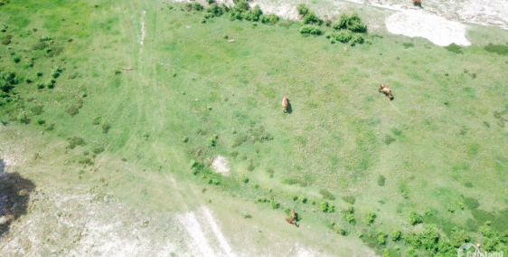 Mặt tiền đường liên huyện kết nối Sân Bay 7680m2 SHR.