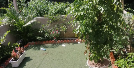 Em bán nhà Sân Vườn, Sổ Hồng Riêng, dt 4x15, 1 trệt 1 lầu