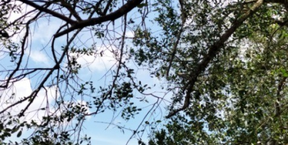 Cần bán nhà 1tr1l hai mặt tiền trước sau đường trần phú