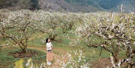 ĐẤT NỀN NGHỈ DƯỠNG MỘC CHÂU cơ hội đầu tư sinh lời