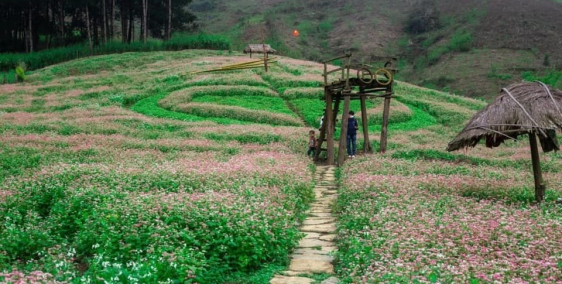 đón sóng quy hoạch đất nền nghỉ dưỡng