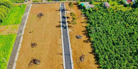 Sỉ nguyên lô, giá ưu đãi bất ngờ