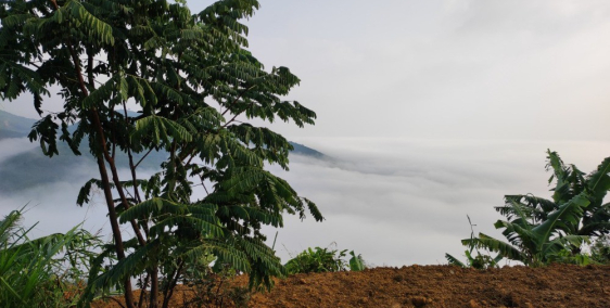 Bán đất giá rẻ tầm nhìn rộng khắp tp bảo lộc