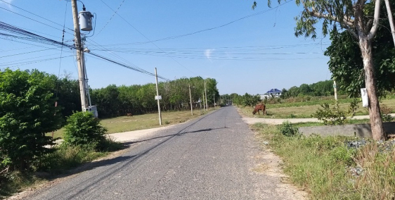 Đường Bến Đình - Tiên Thuận - Bến Cầu - Tây Ninh .