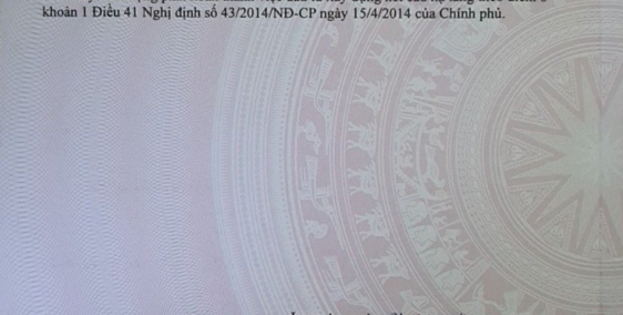 Bán gấp lô đất mặt tiền DT830 Đức Hòa, đã có sổ, giá 1,1tỷ thương lượng