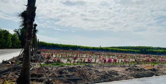 Chính chủ cần bán dự án  sinh thái nhà vườn ở Láng Dài full thổ cư , sổ sẵn