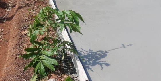 Em cần vốn kinh doanh nên muốn bán gấp lô đất chính chủ để thu hồi vốn.