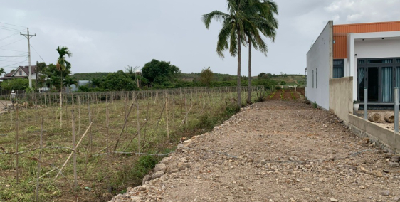 Bán gần 1.5 sào mặt tiền đường DT724 sẵn thổ cư giá 6.8 tỷ