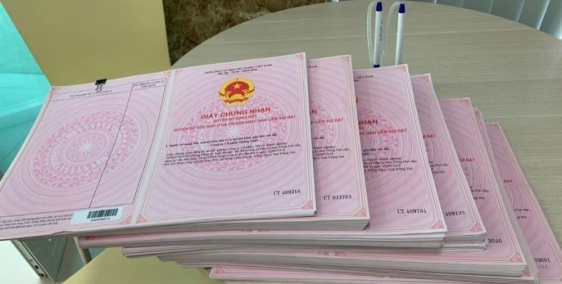 BÁN GẤP  ĐẤT BÌNH CHÁNH GIÁ HẠT DẺ CHỈ VỚI 990 TRIỆU