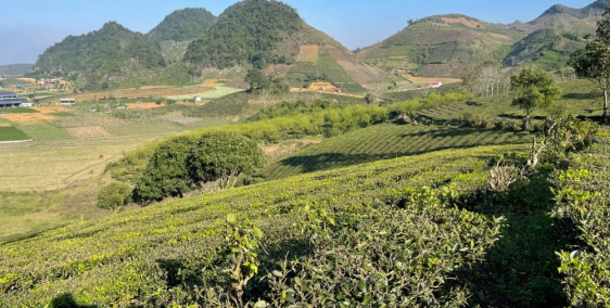 Bán mảnh đất Mộc Châu view hồ điều hoà, đã có quy hoạch 1/500