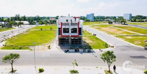 Mua vàng thì lỗ. Mua thổ thì lời