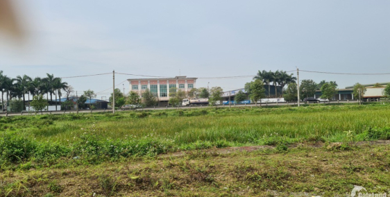 Đất chính chủ cần bán, không qua trung gian