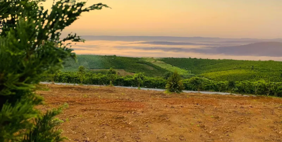 Đất nền thành phố bảo lộc-Lộc Ngãi